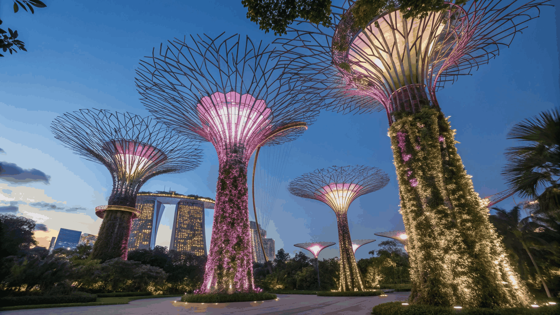 Gardens by the Bay illuminated supertrees in Singapore